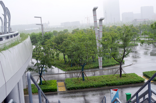 鹽城市體育中心綠化
