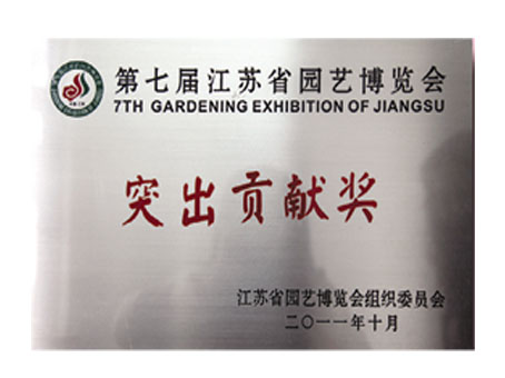 2011年度突出貢獻(xiàn)獎(jiǎng)