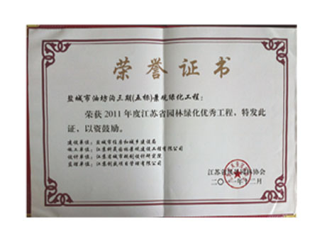 榮譽(yù)證書(shū)